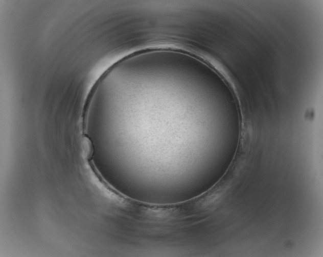 X0000112510951200908241416