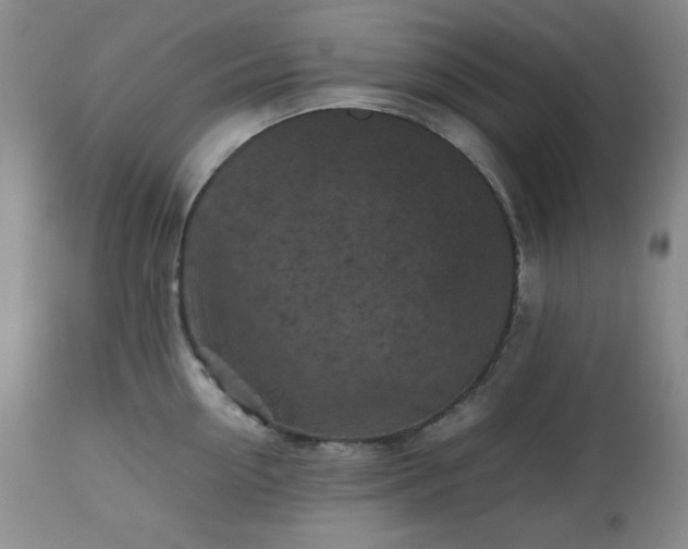 X0000112510954200908241417