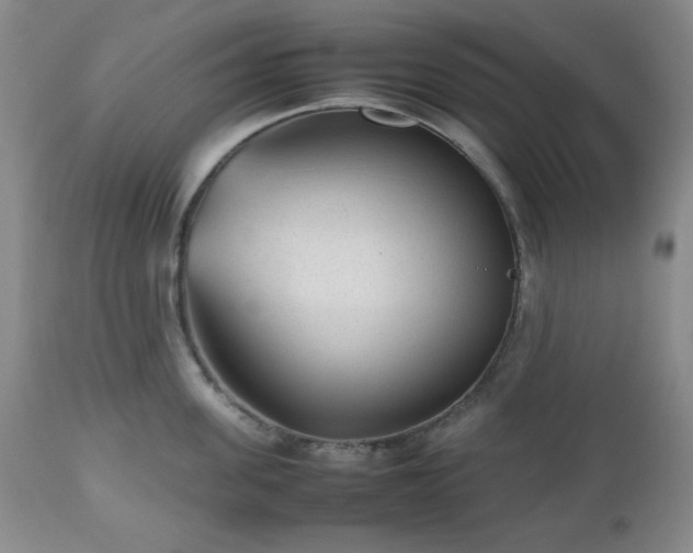 X0000112510955200908241417