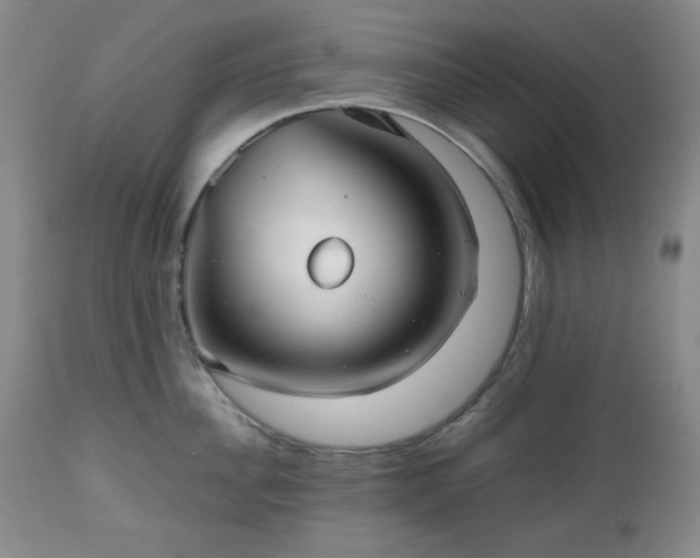 X0000112510956200908241417