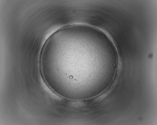 X0000112510957200908241417