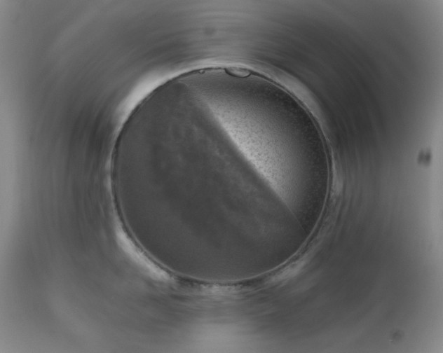 X0000112510958200908241417