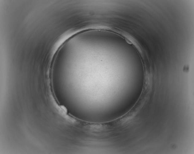 X0000112510959200908241417