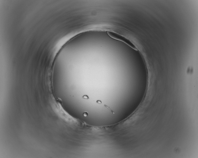 X0000112510960200908241417