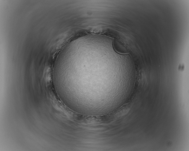 X0000112510962200908241416