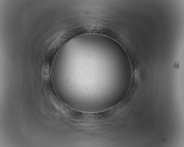 X0000112510963200908241416