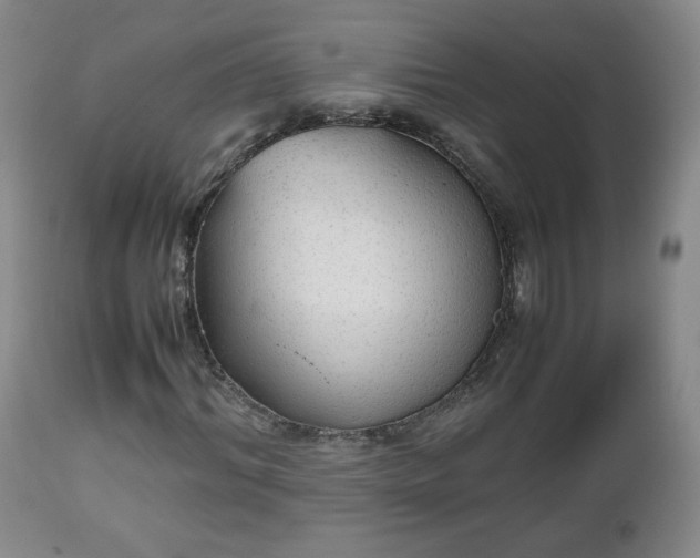 X0000112510964200908241416