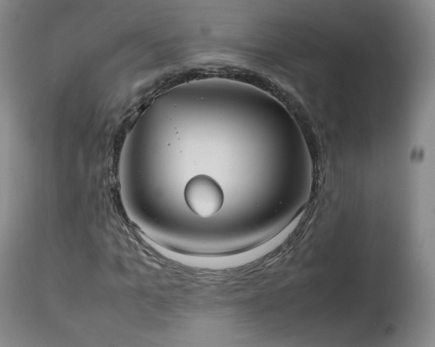 X0000112510965200908241416