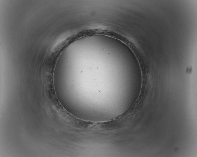 X0000112510967200908241416