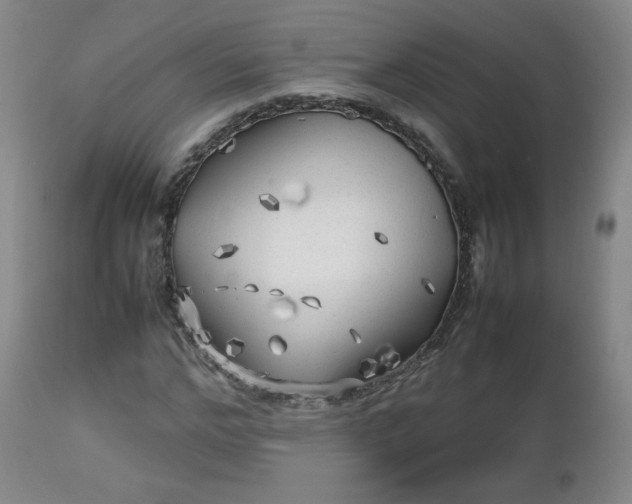 X0000112510968200908241416