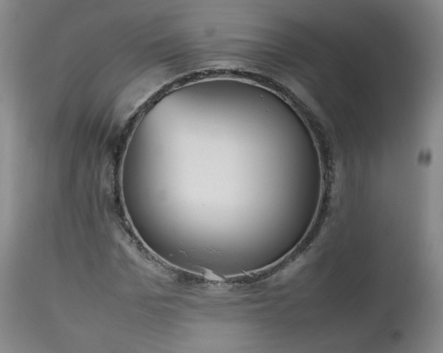 X0000112510969200908241416