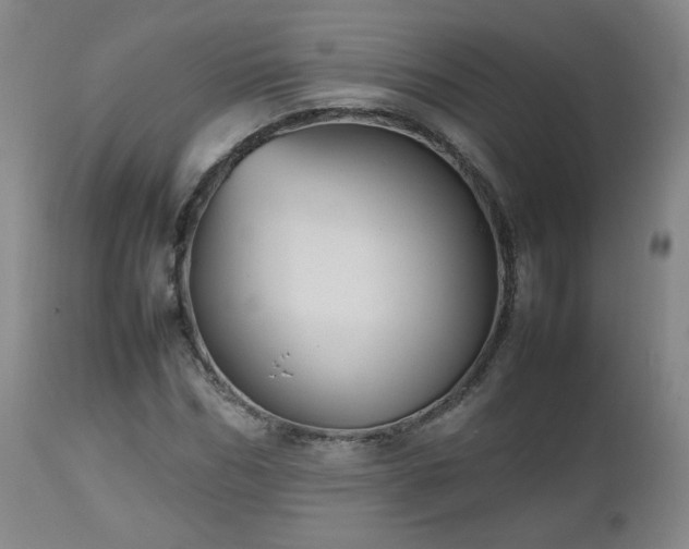 X0000112510970200908241416