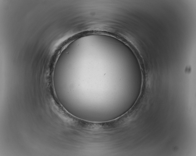 X0000112510971200908241416