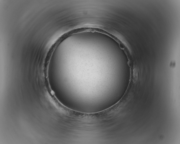 X0000112510972200908241415