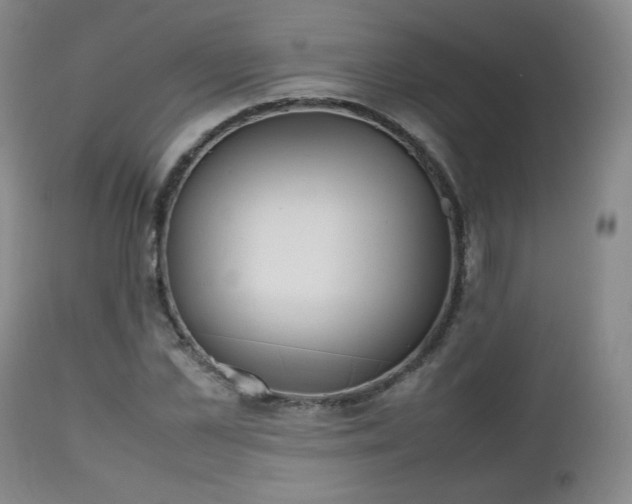 X0000112510973200908241415