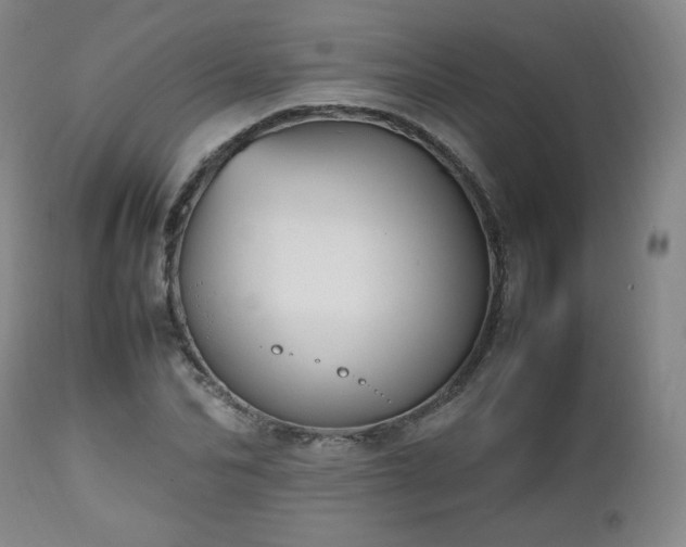 X0000112510974200908241415