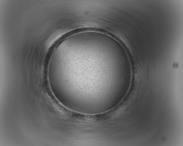 X0000112510975200908241415