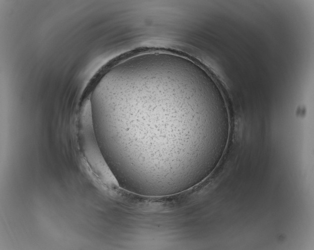 X0000112510976200908241415