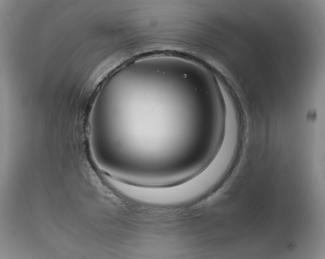 X0000112510977200908241415