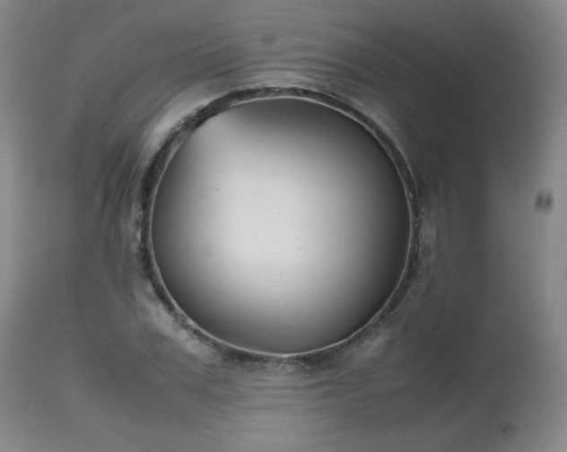 X0000112510979200908241415