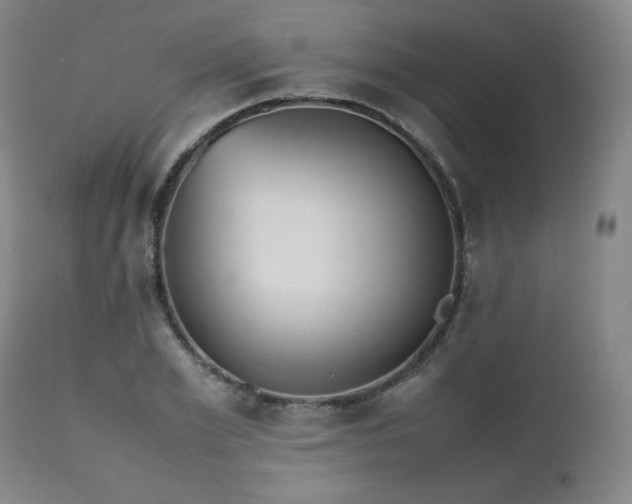 X0000112510981200908241415