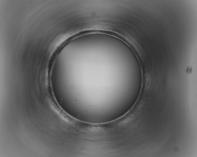 X0000112510982200908241415