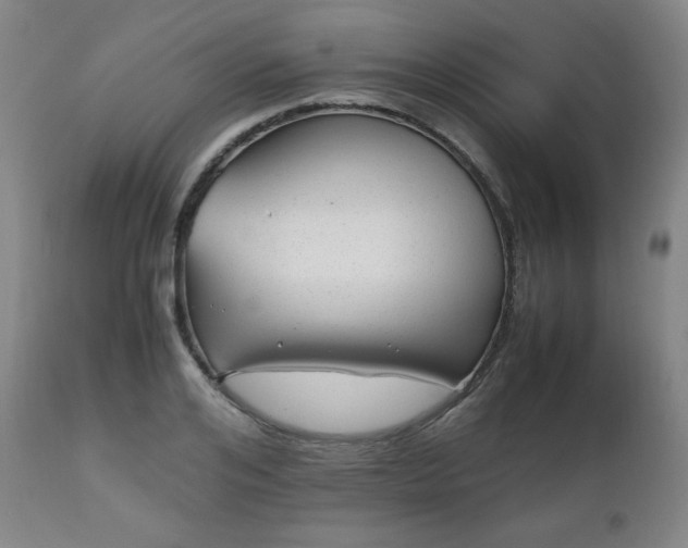 X0000112510984200908241415