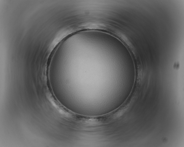 X0000112510986200908241415