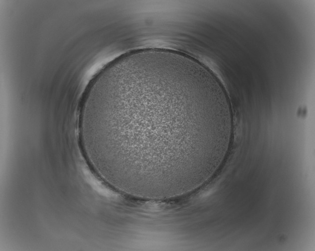 X0000112510987200908241415