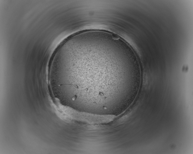 X0000112510988200908241415