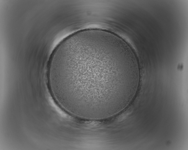 X0000112510991200908241415