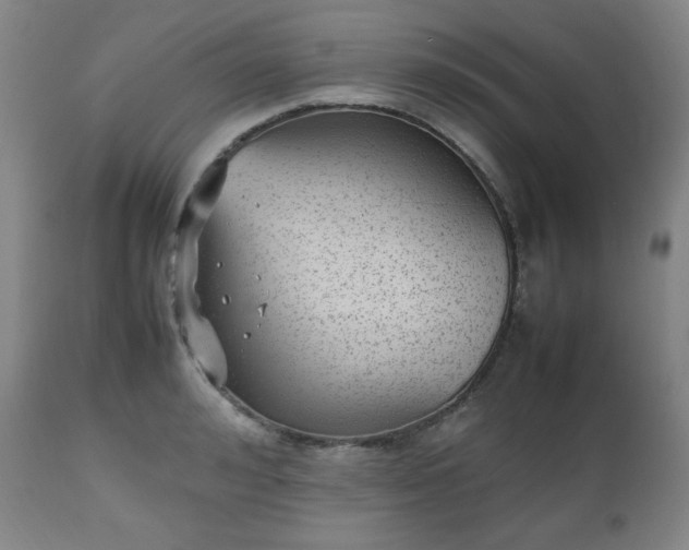 X0000112510992200908241415