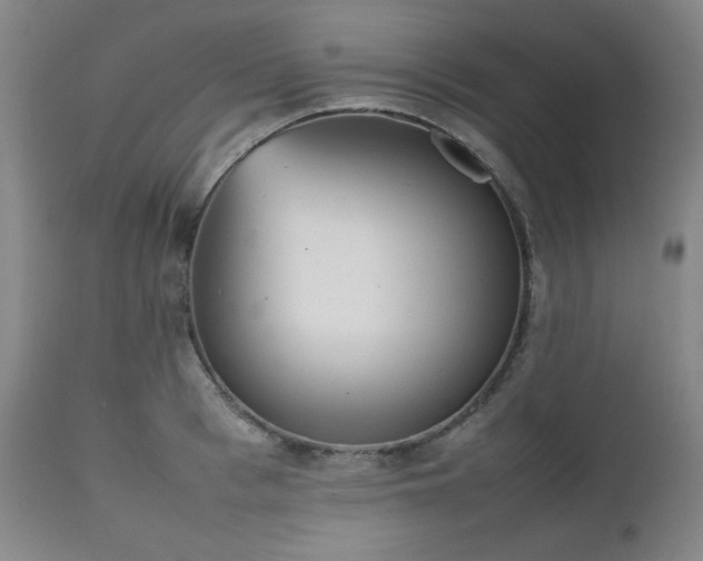 X0000112510993200908241415