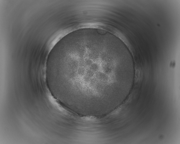 X0000112510994200908241415