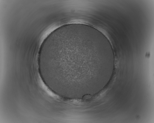 X0000112510995200908241415