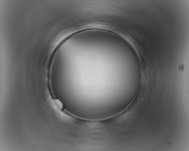 X0000112510999200908241415