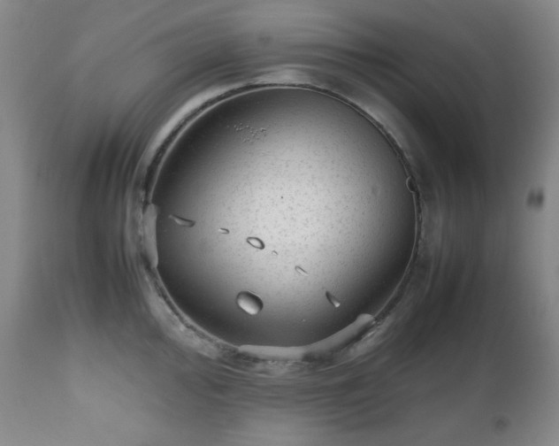 X0000112511000200908241415