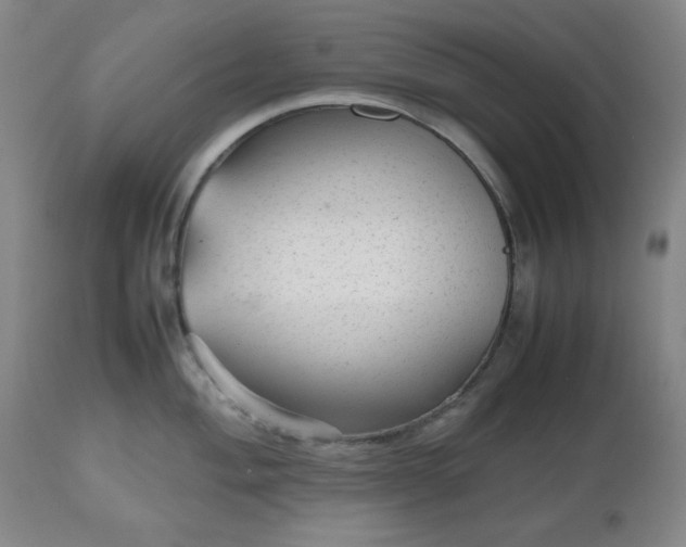 X0000112511004200908241415