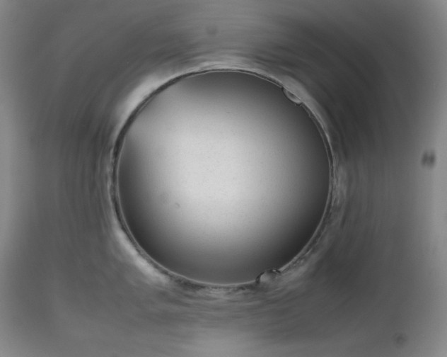 X0000112511005200908241415