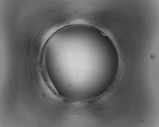 X0000112511008200908241415