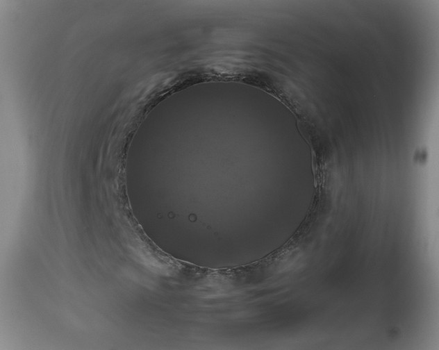 X0000112511009200908241414