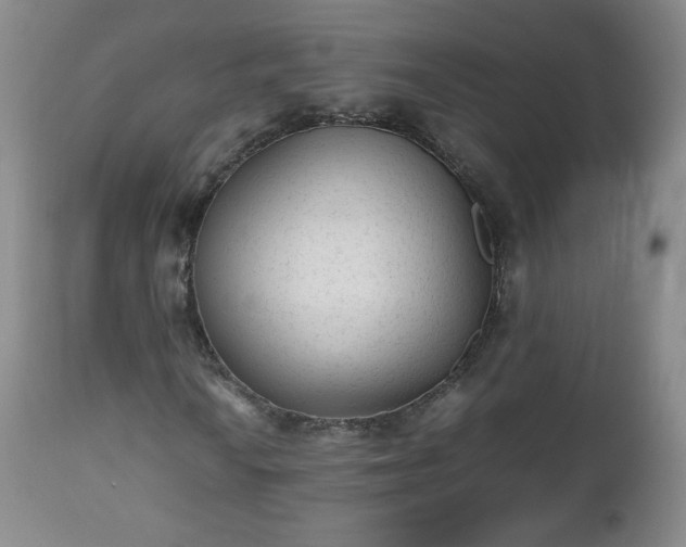 X0000112511010200908241414