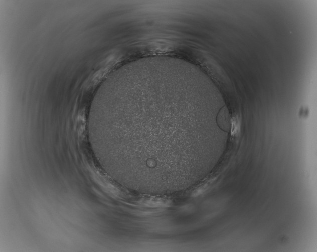 X0000112511011200908241414