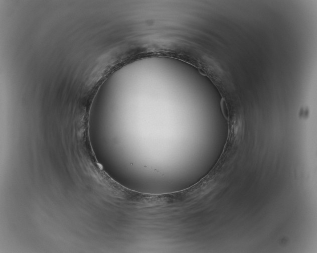 X0000112511012200908241414