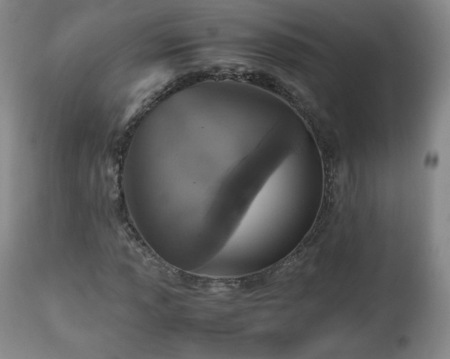 X0000112511013200908241414