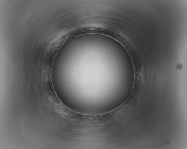 X0000112511014200908241414