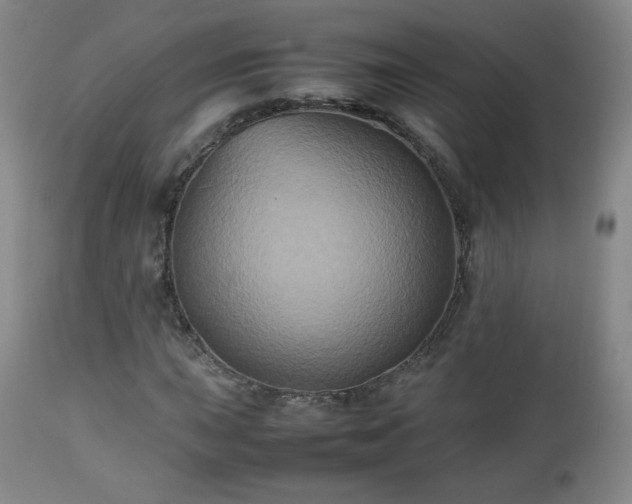 X0000112511015200908241414