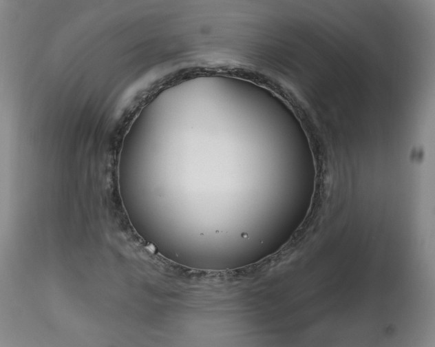 X0000112511016200908241414