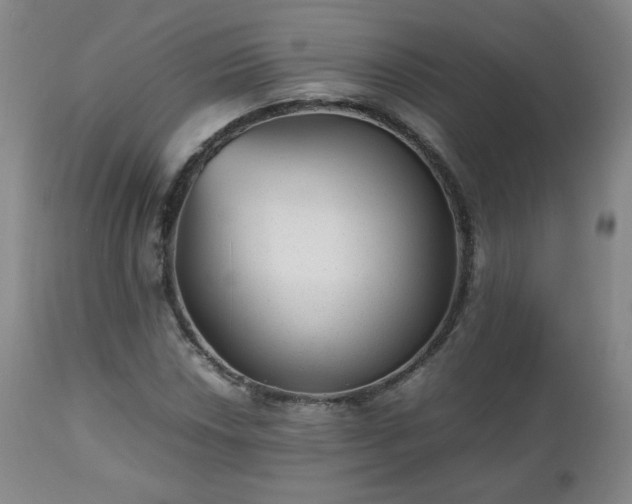 X0000112511018200908241414