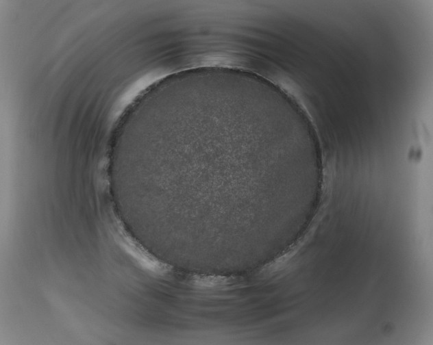 X0000112511019200908241414